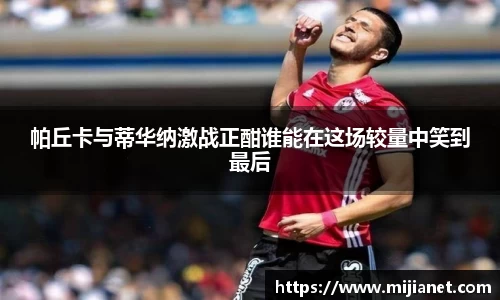 完美.(中国)体育官方网站-365WM SPORTS