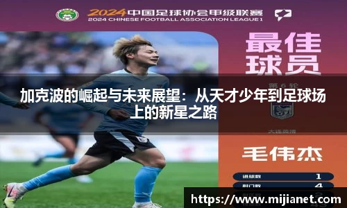 完美.(中国)体育官方网站-365WM SPORTS